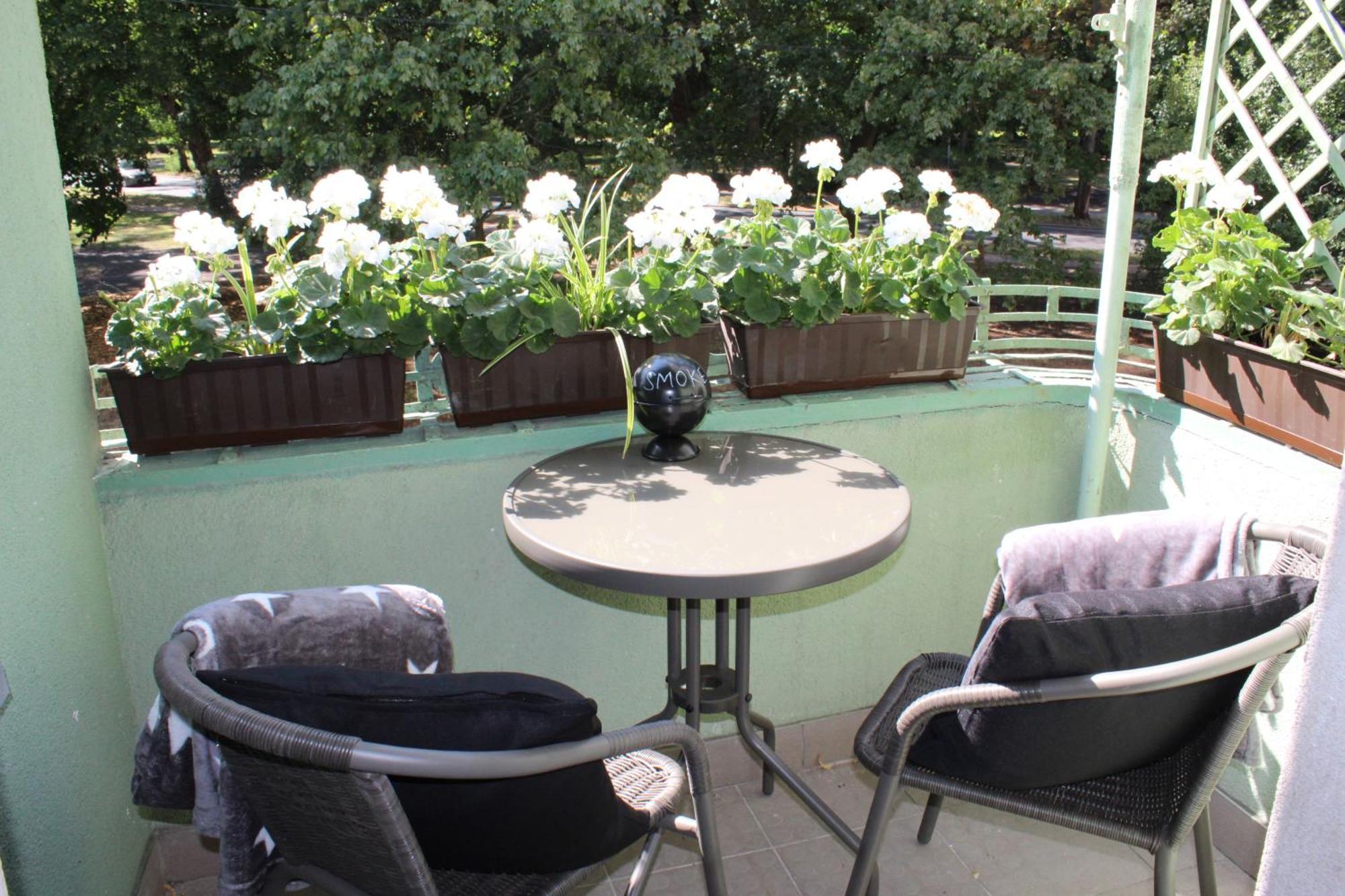 Apartment Szarotka Ii Stettin